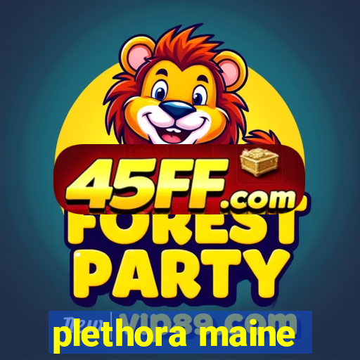 plethora maine